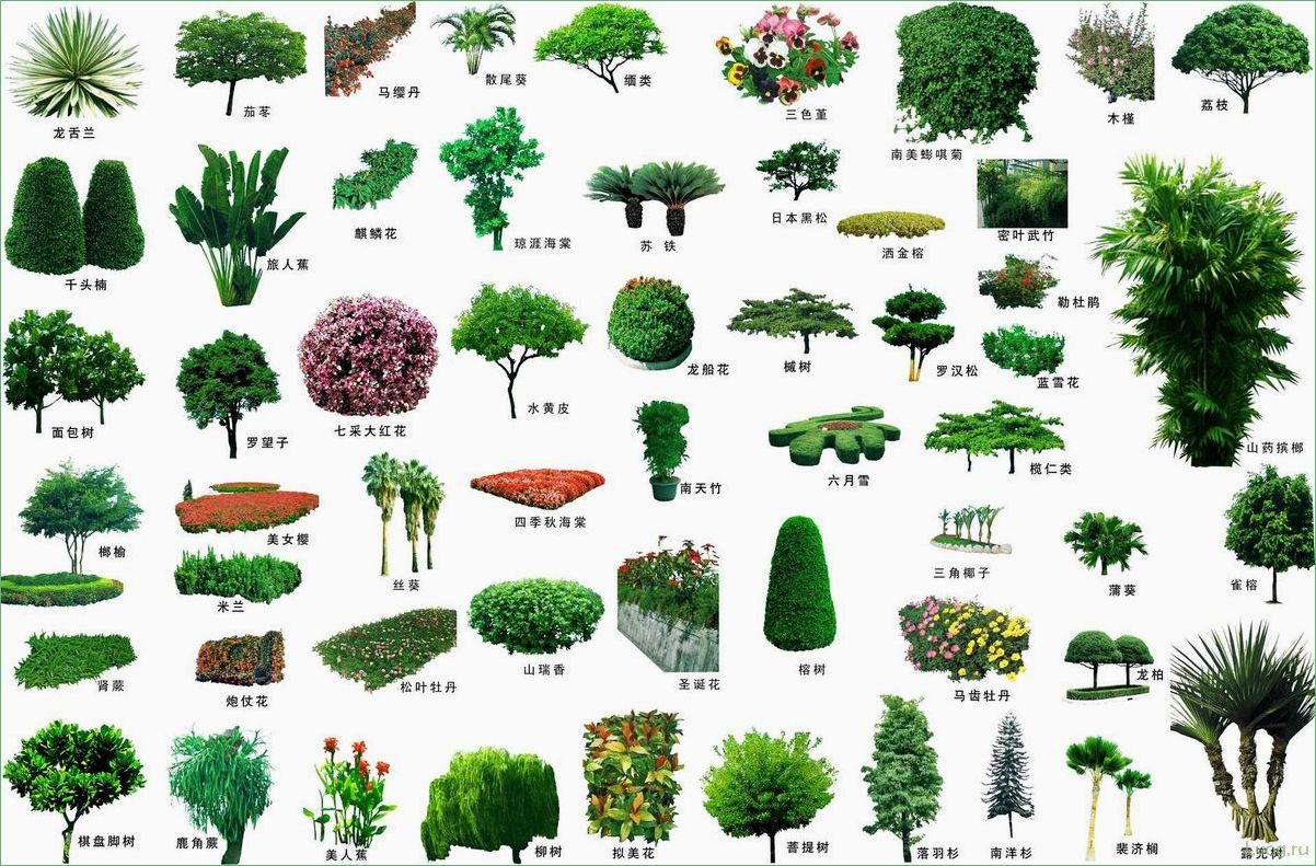 Деревья, кустарники и цветы в ландшафтном дизайне: идеи и советы