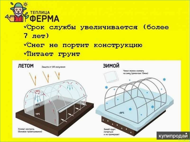 Как определить правильное расположение теплицы на участке