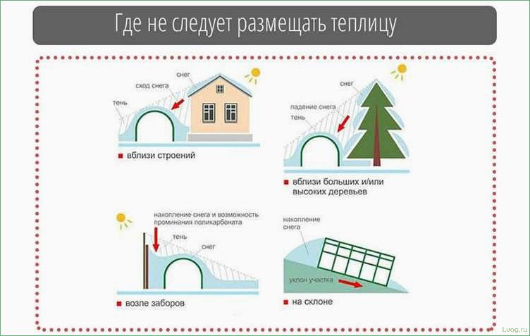 Как определить правильное расположение теплицы на участке