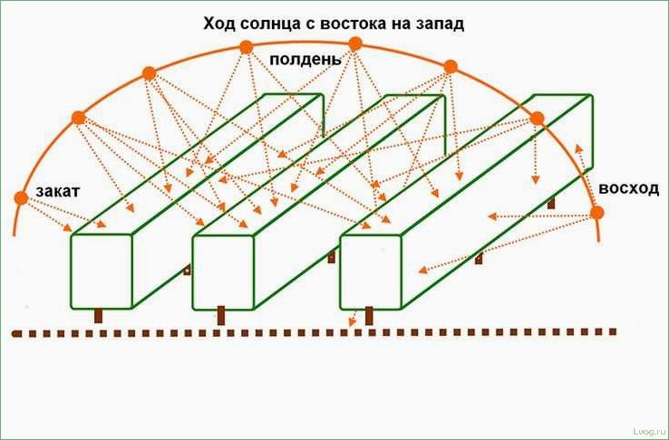 Как определить правильное расположение теплицы на участке