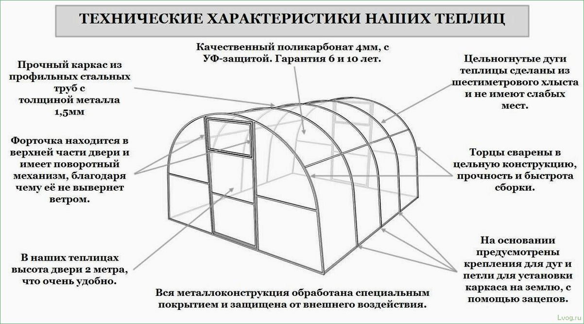 Размеры теплицы — факторы, влияющие на выбор