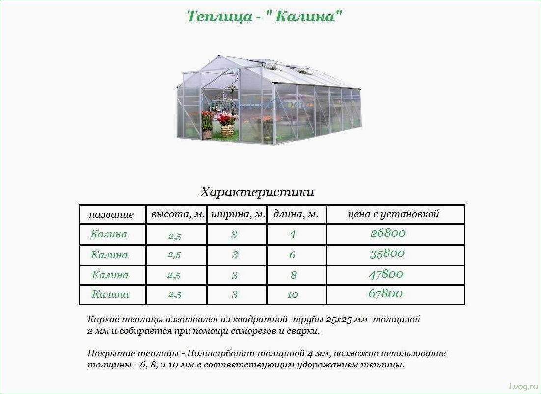 Размеры теплицы — факторы, влияющие на выбор