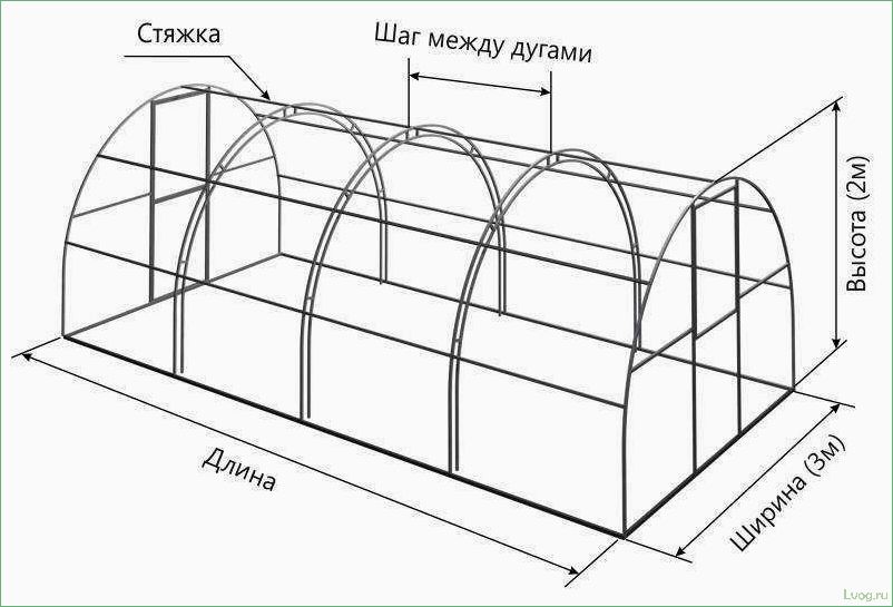 Размеры теплиц из поликарбоната — критерии выбора