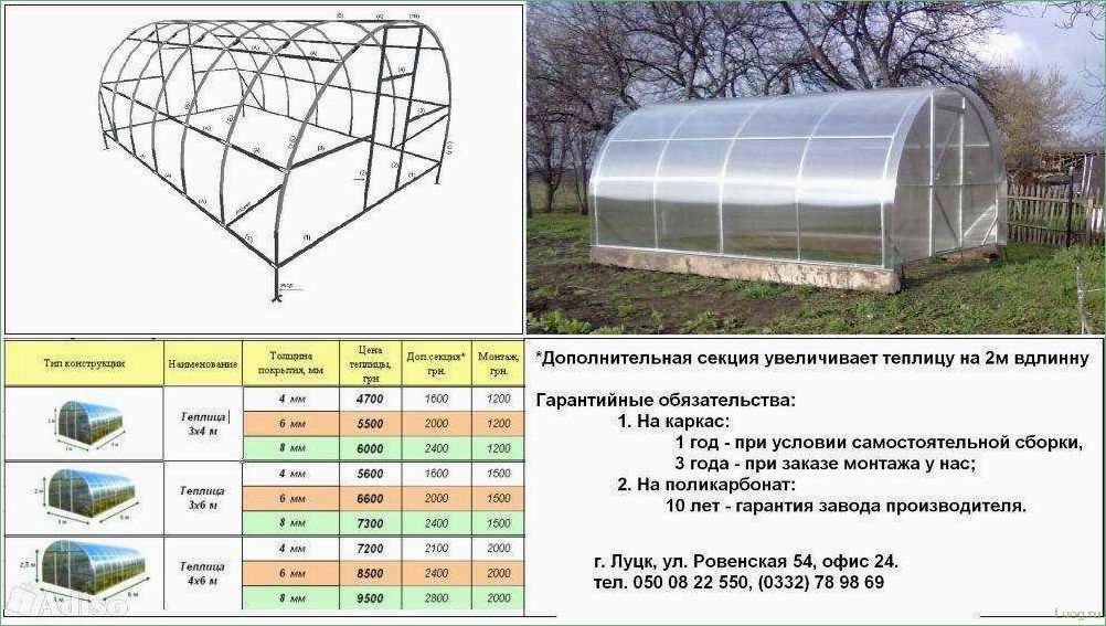 Размеры теплиц из поликарбоната — критерии выбора