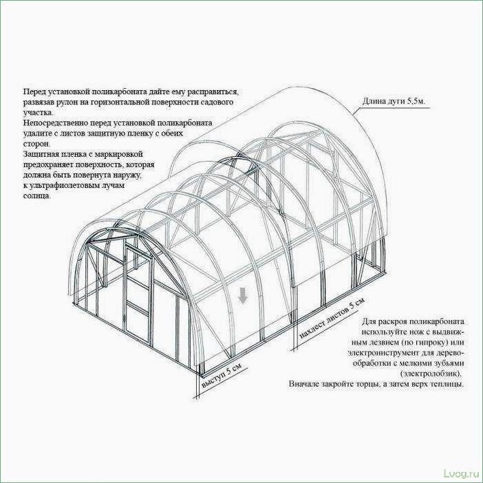 Размеры теплиц из поликарбоната — критерии выбора