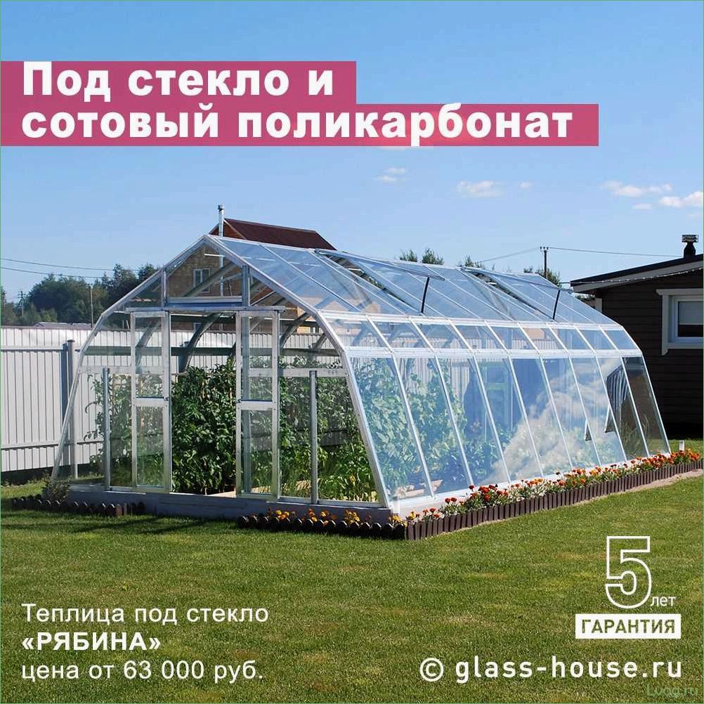 Теплицы Glass House — особенности конструкции