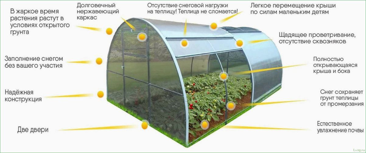 Теплицы из поликарбоната — все о плюсах и минусах