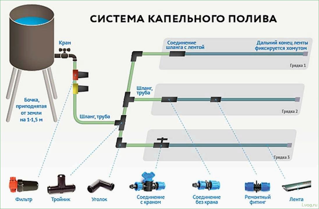 Тонкости устройства автополива в теплице