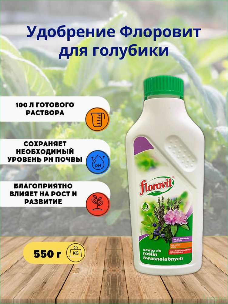 Удобрение Флоровит (Florovit) для голубики: эффективные методы и рекомендации