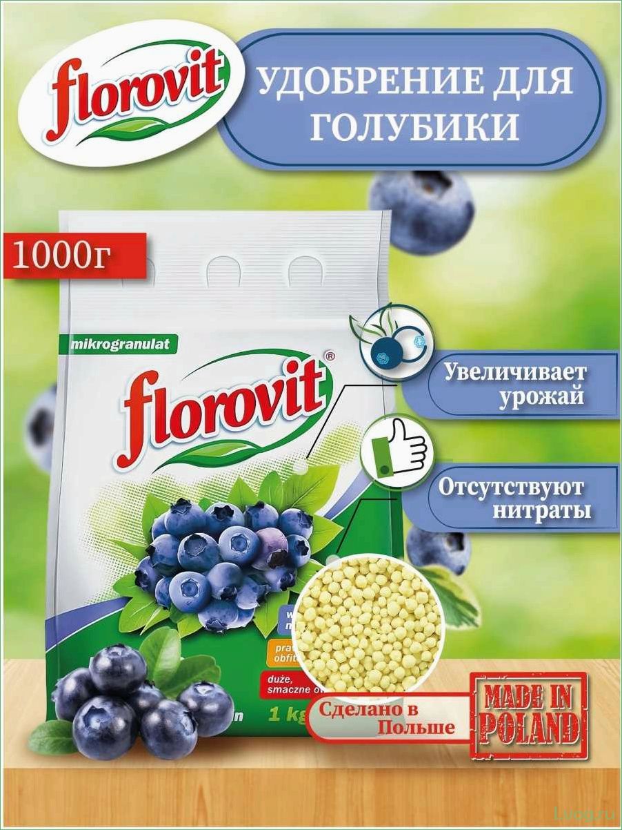 Удобрение Флоровит (Florovit) для голубики: эффективные методы и рекомендации