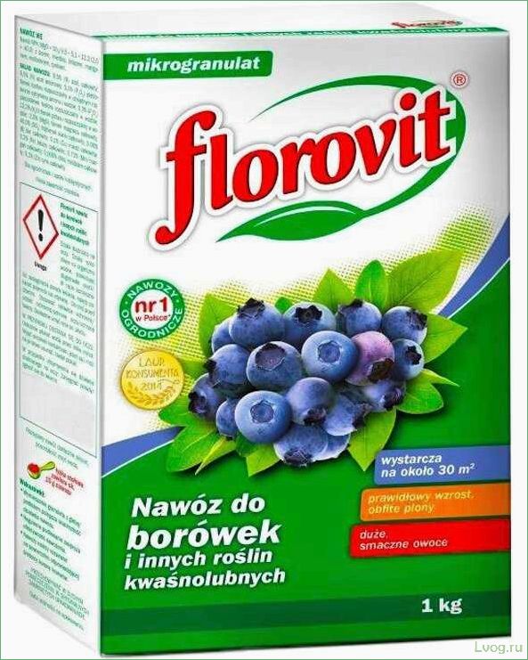 Удобрение Флоровит (Florovit) для голубики: эффективные методы и рекомендации