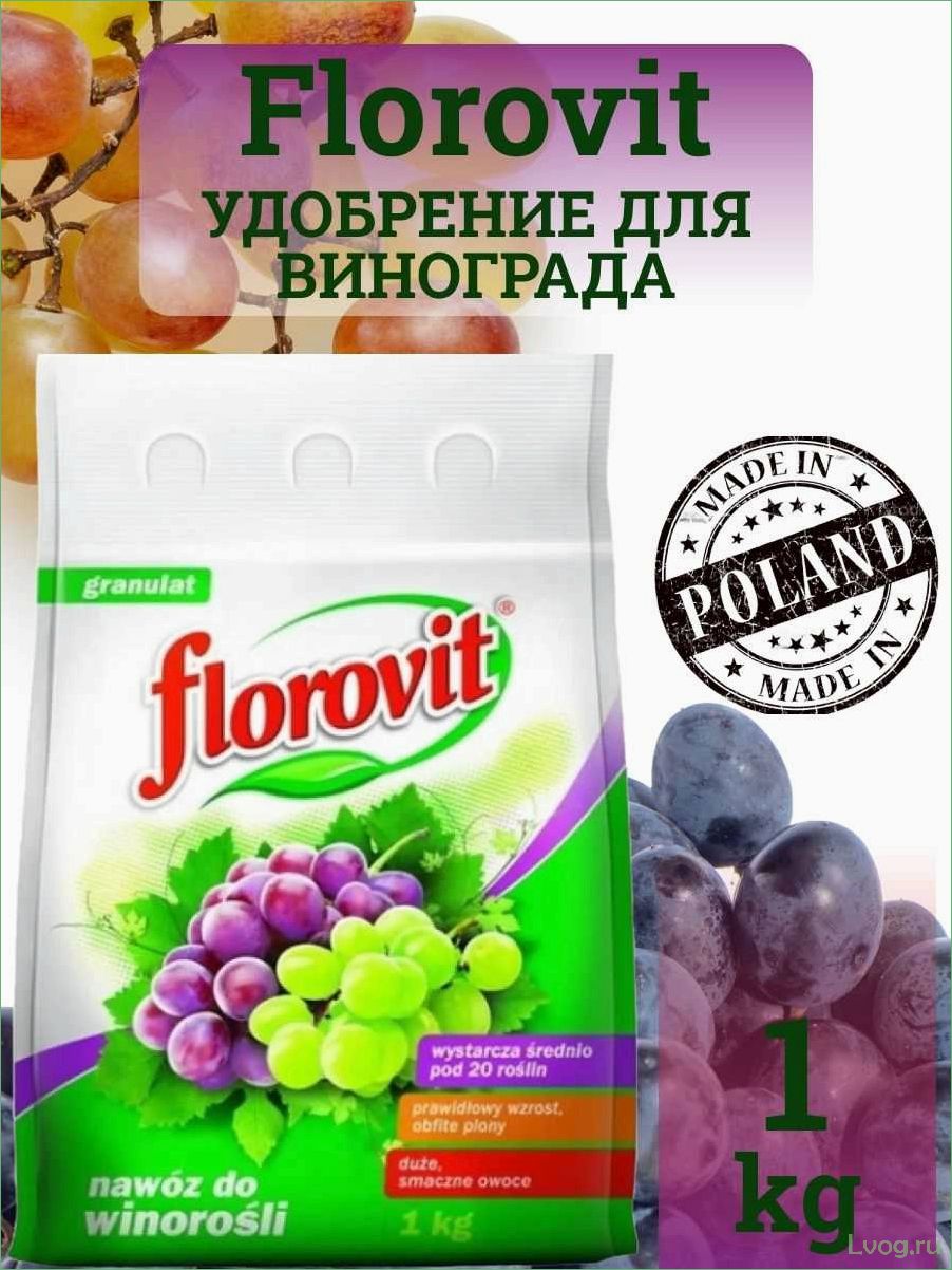 Удобрение Флоровит (Florovit) для голубики: эффективные методы и рекомендации