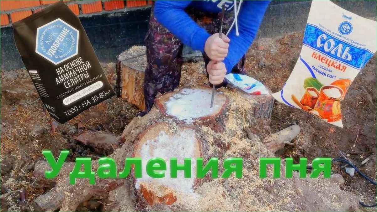 Удаление пней селитрой: эффективные методы и инструкция по применению