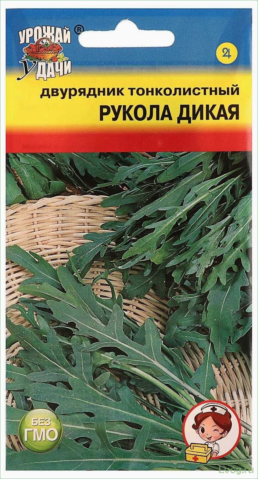 Двурядник тонколистный (Рукола дикая) Оливетта: полезные свойства и советы по выращиванию