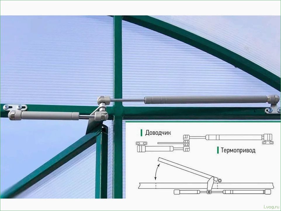 Особенности устройства форточки для теплицы: полезные советы и рекомендации