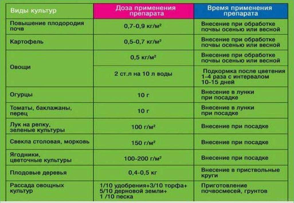 Удобрения для ели: виды и правила применения