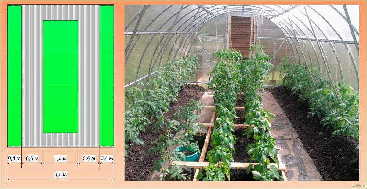 Все о теплицах из поликарбоната размером 3х6: преимущества, выбор и уход