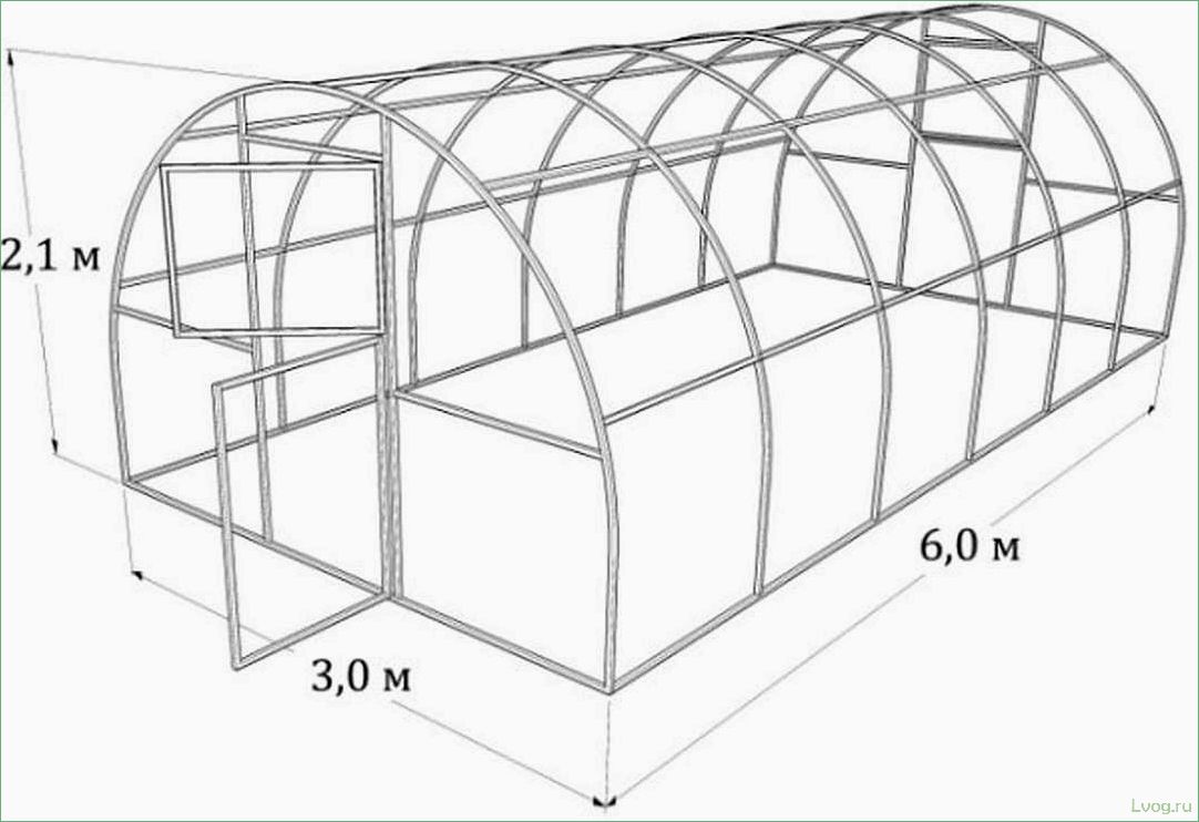 Все о теплицах из поликарбоната размером 3х6: преимущества, выбор и уход