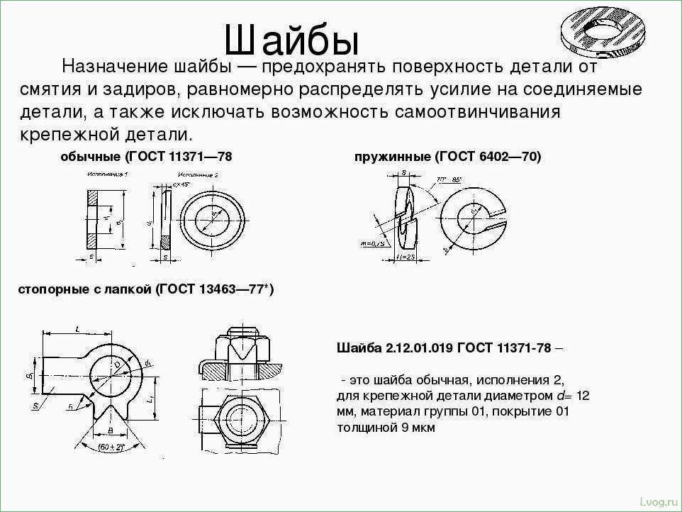 Разновидности шайб и сферы применения: все, что нужно знать