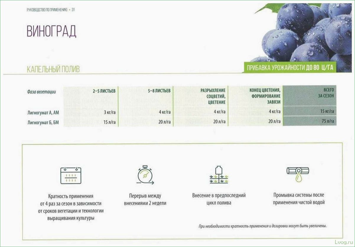 Удобрение Лигногумат для хвойных растений: эффективный способ улучшить рост и здоровье растений