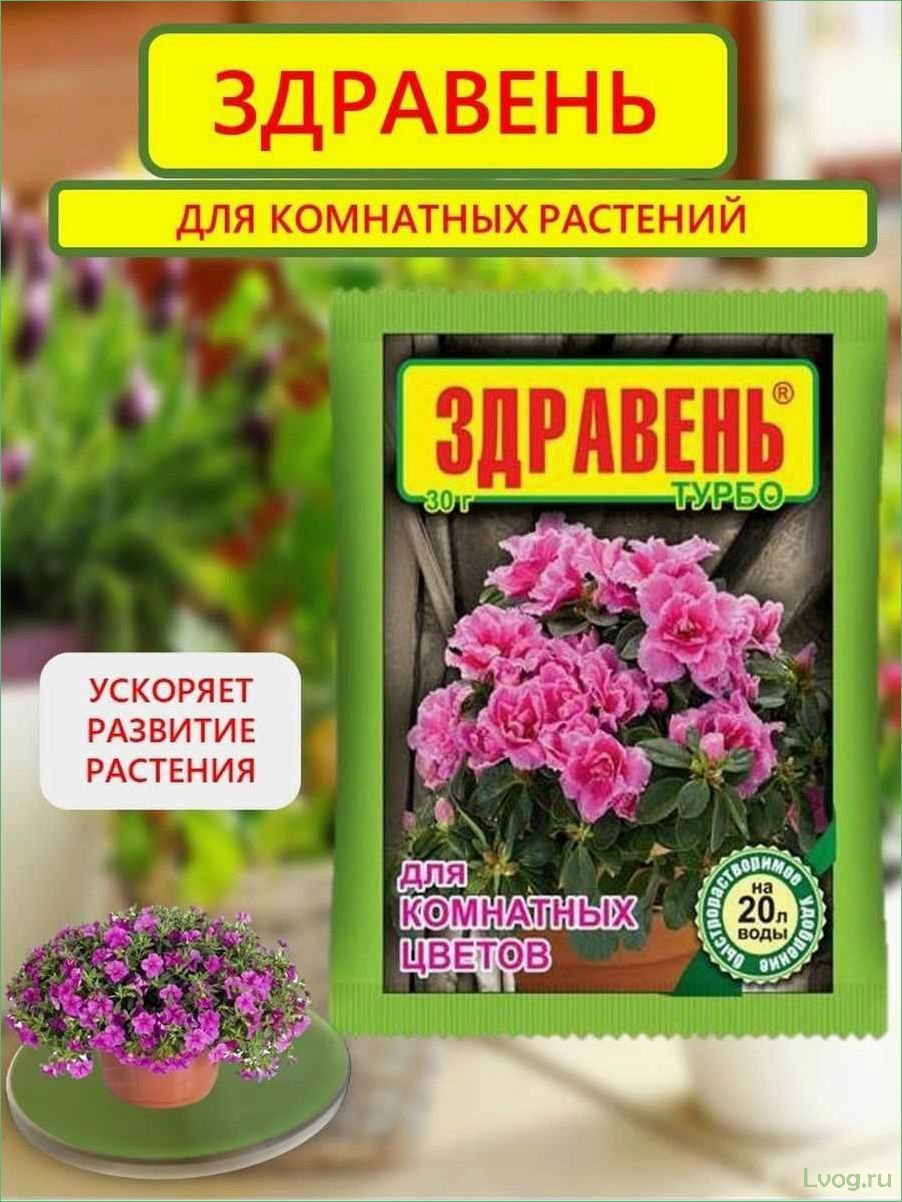 Удобрение Здравень Турбо для комнатных цветов: эффективное питание для здорового и красивого растения