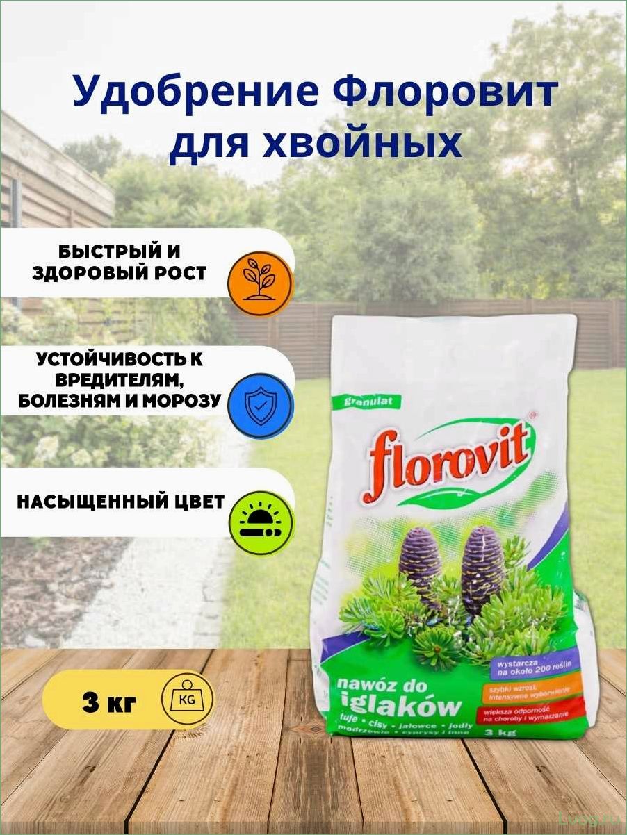 (удобрение, флоровит, florovit, хвойных, растений) Удобрение Флоровит (Florovit) для хвойных растений: особенности применения и результаты