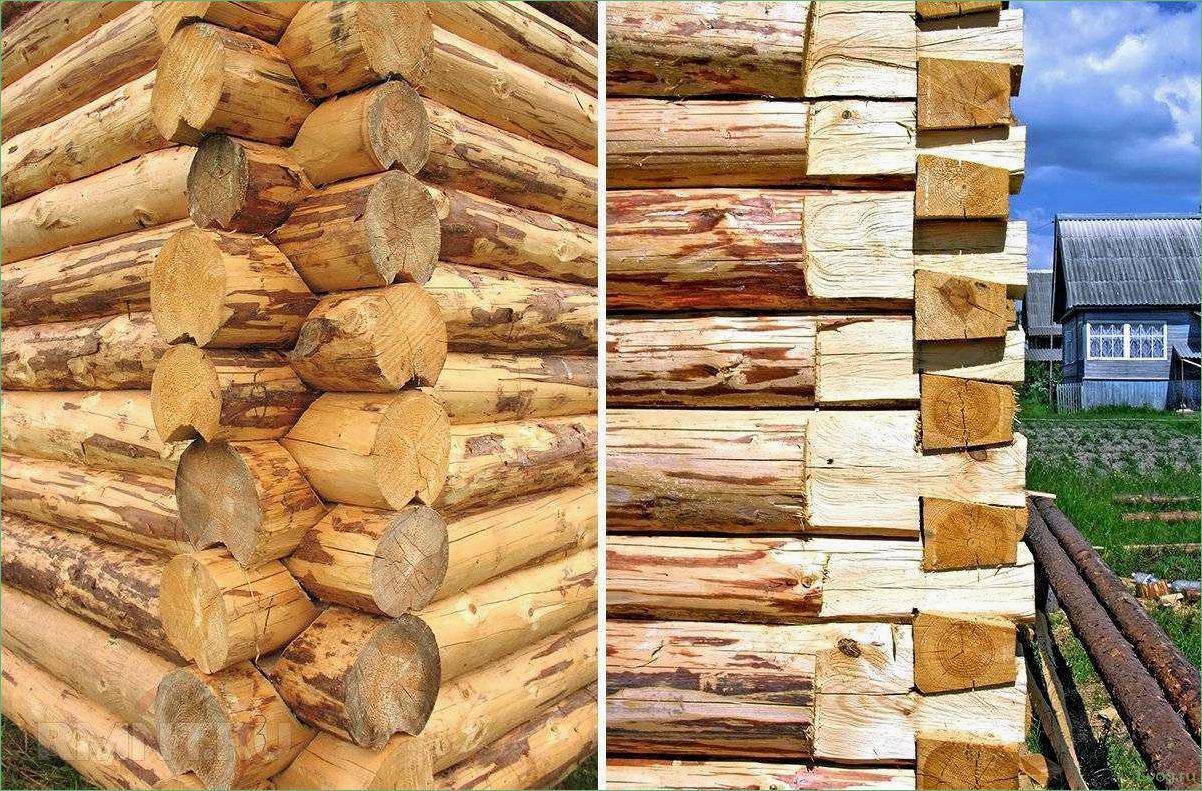(баня, бревна, плюсы, минусы, этапы) Баня из бревна: плюсы, минусы, этапы постройки