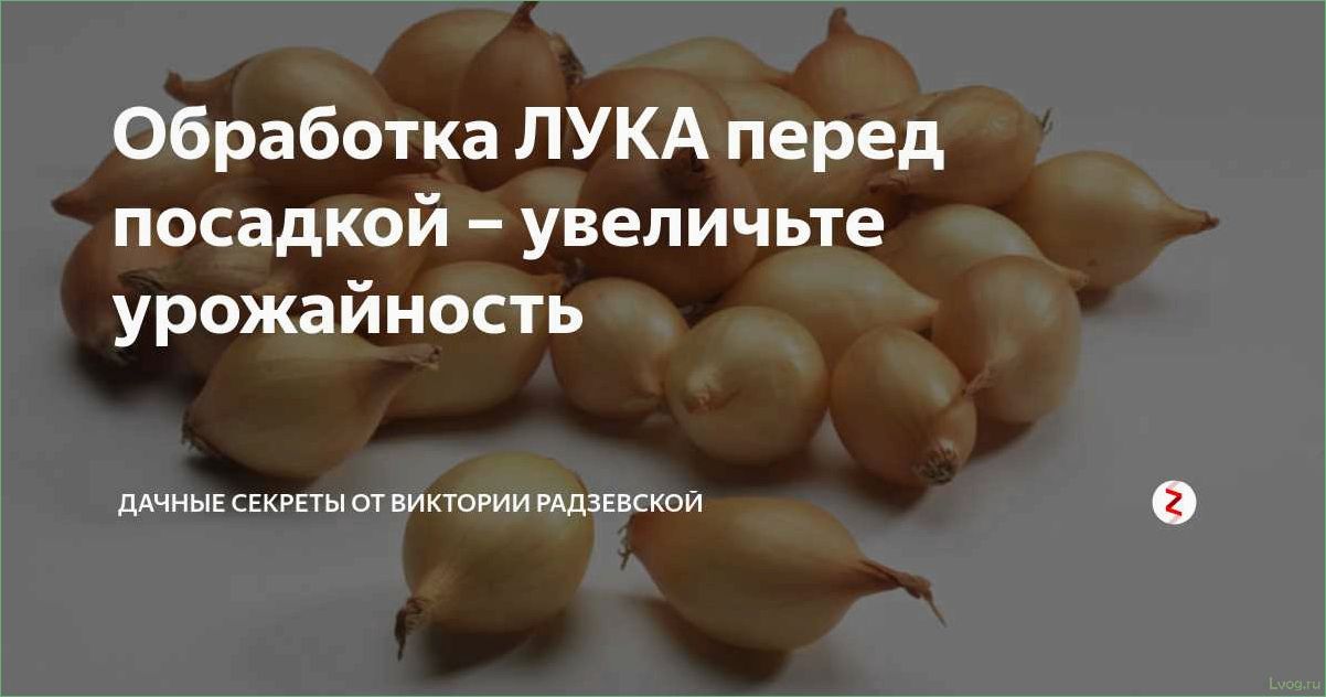 (обработка, лука, перед, посадкой, основные) Обработка лука перед посадкой: основные способы и рекомендации