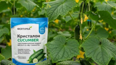 Удобрение Фертика Кристалон для огурцов