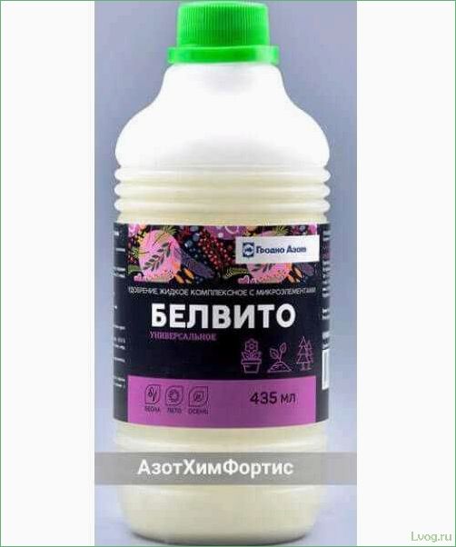 (удобрение, белвито, универсальное, комплексное, повышения) Удобрение Белвито: универсальное комплексное для повышения урожайности