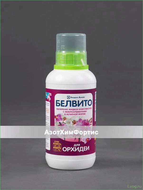 (удобрение, белвито, универсальное, комплексное, повышения) Удобрение Белвито: универсальное комплексное для повышения урожайности