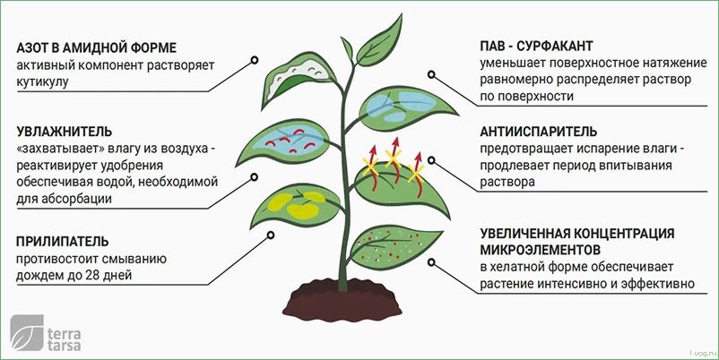 (удобрение, новалон, фолиар, 20-20-20, 5mgo) Удобрение Новалон Фолиар (20-20-20+0,5MgO): полный обзор, инструкция по применению