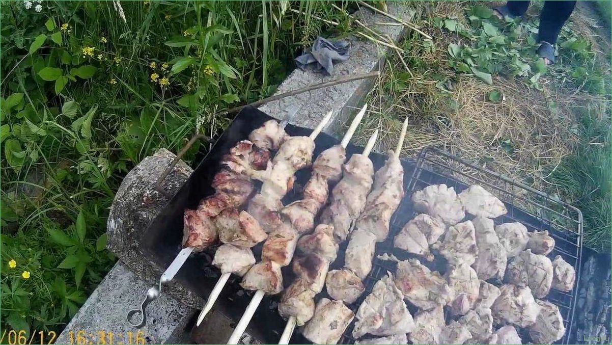 (выбрать, лучшие, дрова, приготовления, шашлыка) Как выбрать лучшие дрова для приготовления шашлыка