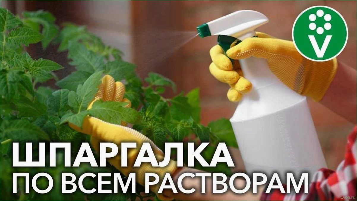 (препараты, основе, сенной, палочки, сада) Препараты на основе сенной палочки для сада и огорода: эффективные рекомендации и советы