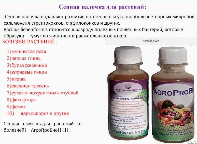 (препараты, основе, сенной, палочки, сада) Препараты на основе сенной палочки для сада и огорода: эффективные рекомендации и советы