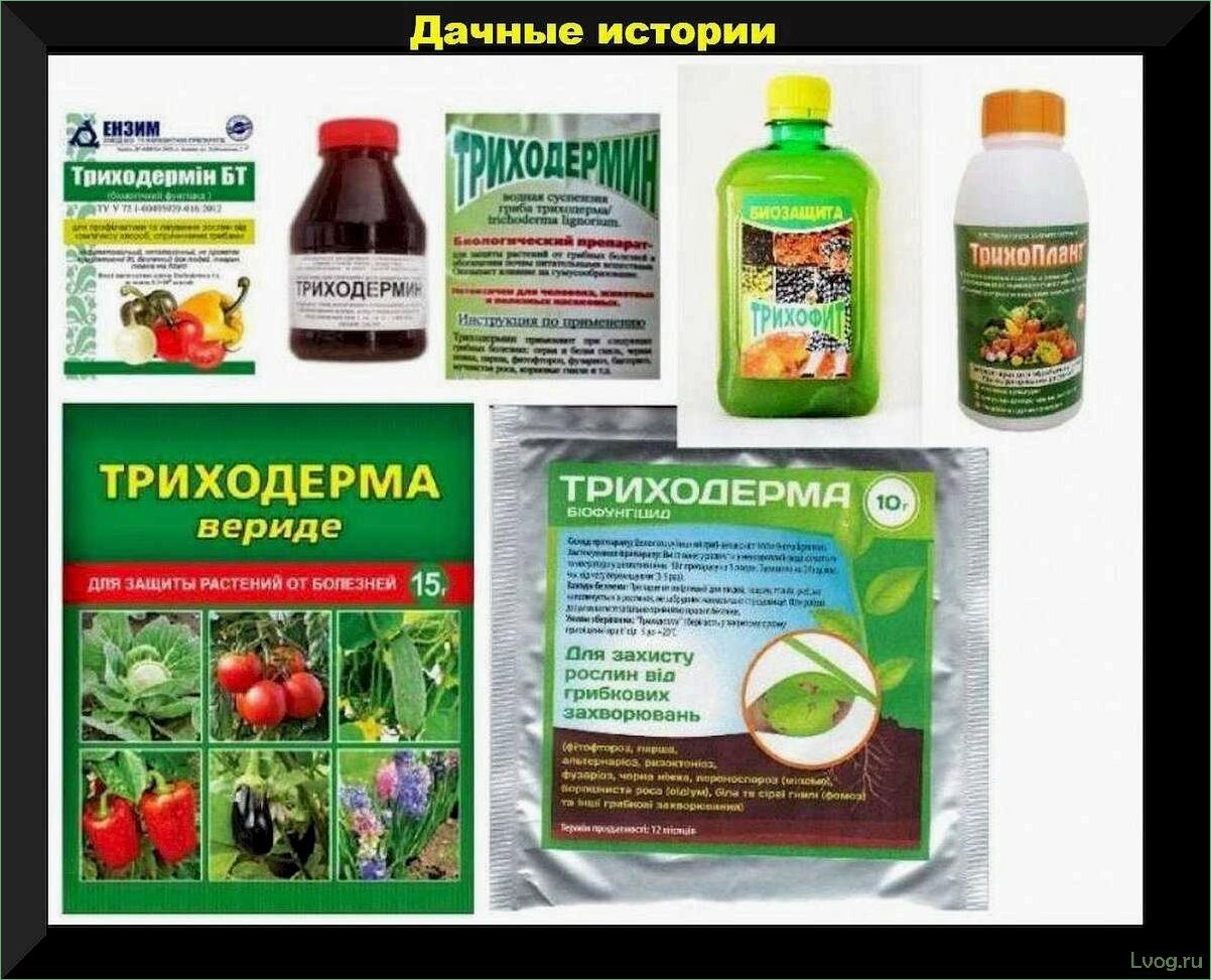 (препараты, основе, триходермы, растений, эффективное) Препараты на основе триходермы для растений: эффективное решение проблем с заболеваниями
