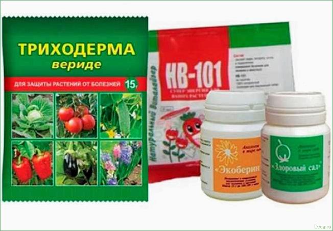 (препараты, основе, триходермы, растений, эффективное) Препараты на основе триходермы для растений: эффективное решение проблем с заболеваниями