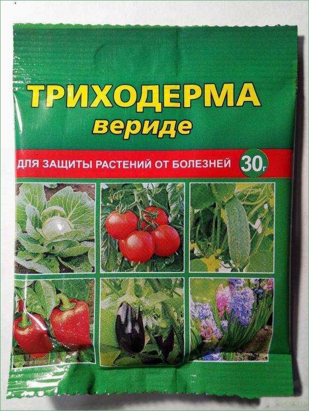 (препараты, основе, триходермы, растений, эффективное) Препараты на основе триходермы для растений: эффективное решение проблем с заболеваниями