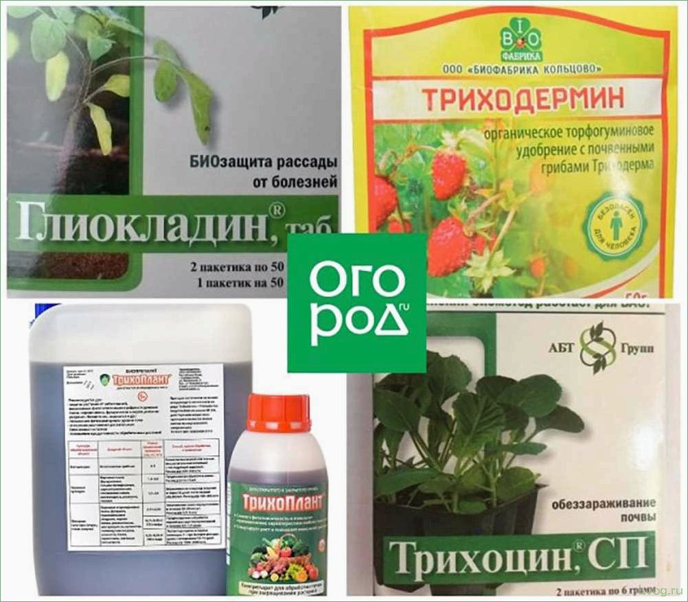 (препараты, основе, триходермы, растений, эффективное) Препараты на основе триходермы для растений: эффективное решение проблем с заболеваниями