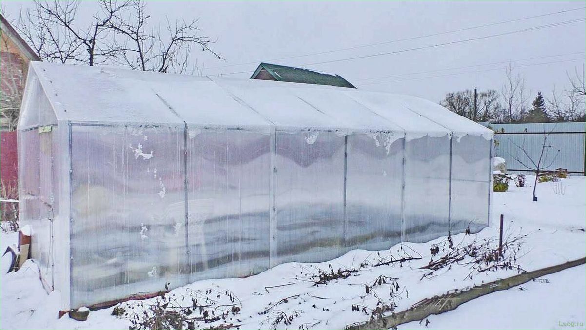 (теплицы, поликарбоната, преимущества, недостатки) Теплицы из поликарбоната — преимущества и недостатки