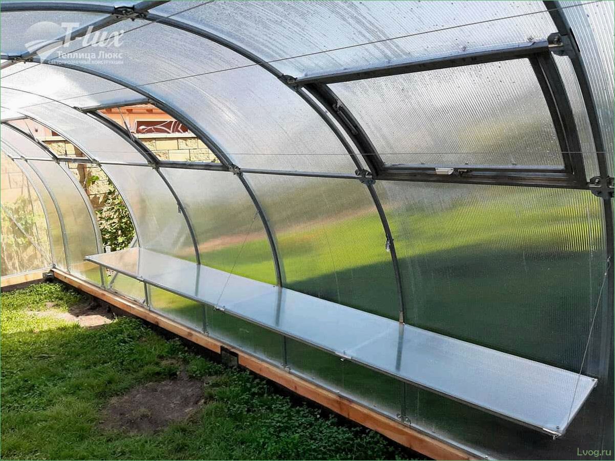 (теплицы, поликарбоната, преимущества, недостатки) Теплицы из поликарбоната — преимущества и недостатки