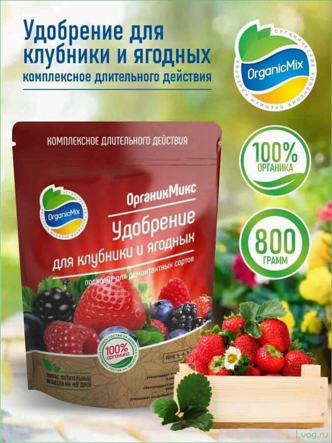 (удобрение, органик, микс, клубники, ягодных) Удобрение Органик Микс для клубники и ягодных: повышаем урожайность и качество