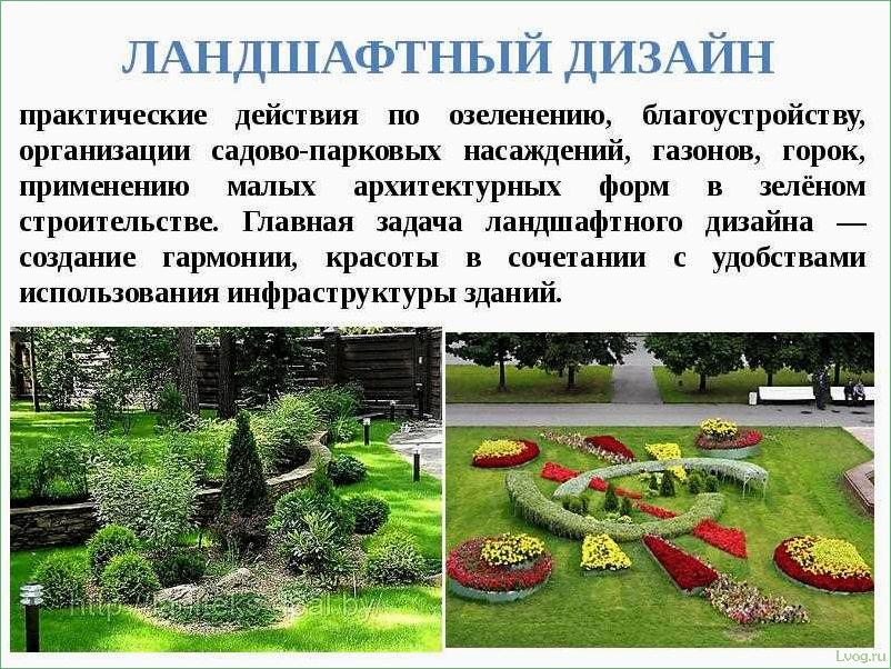 Направления ландшафтного дизайна: особенности и черты