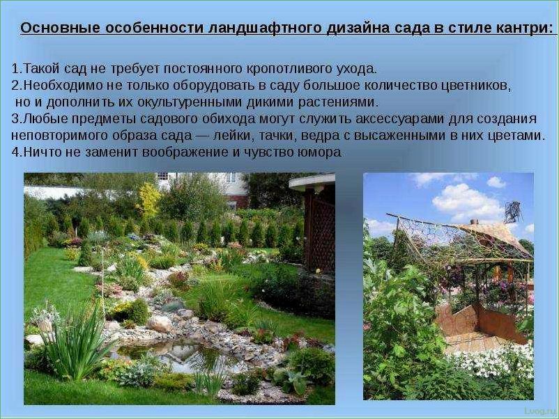 Направления ландшафтного дизайна: особенности и черты