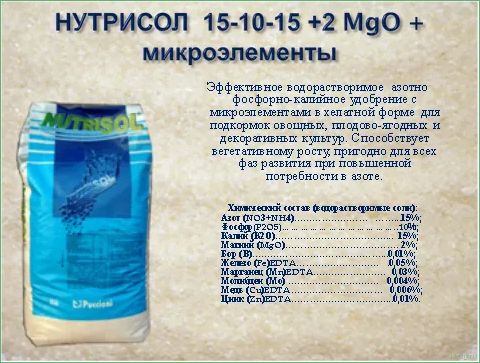 (удобрение, нутрисол, состав, преимущества, рекомендации) Удобрение Нутрисол для роз: состав, преимущества и рекомендации по применению