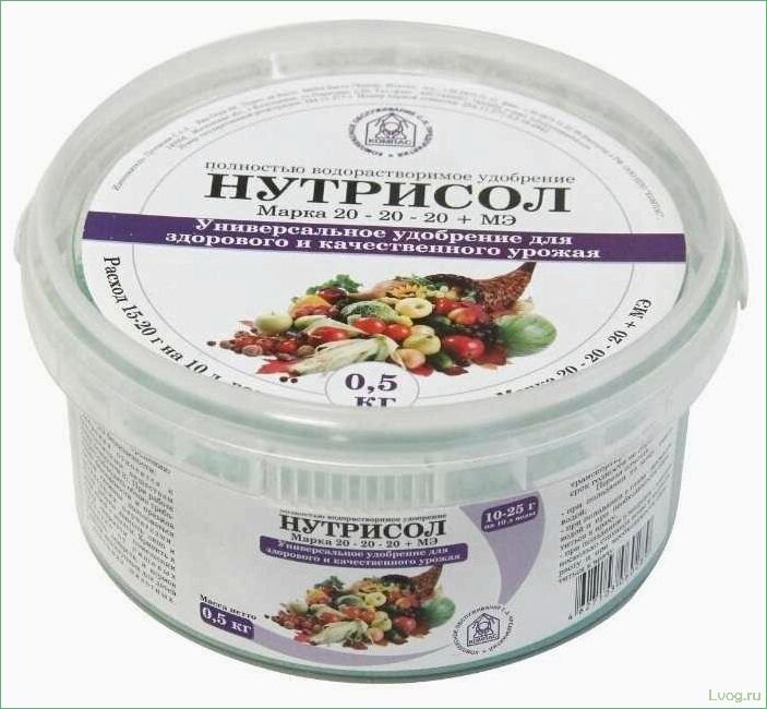 (удобрение, нутрисол, состав, преимущества, рекомендации) Удобрение Нутрисол для роз: состав, преимущества и рекомендации по применению