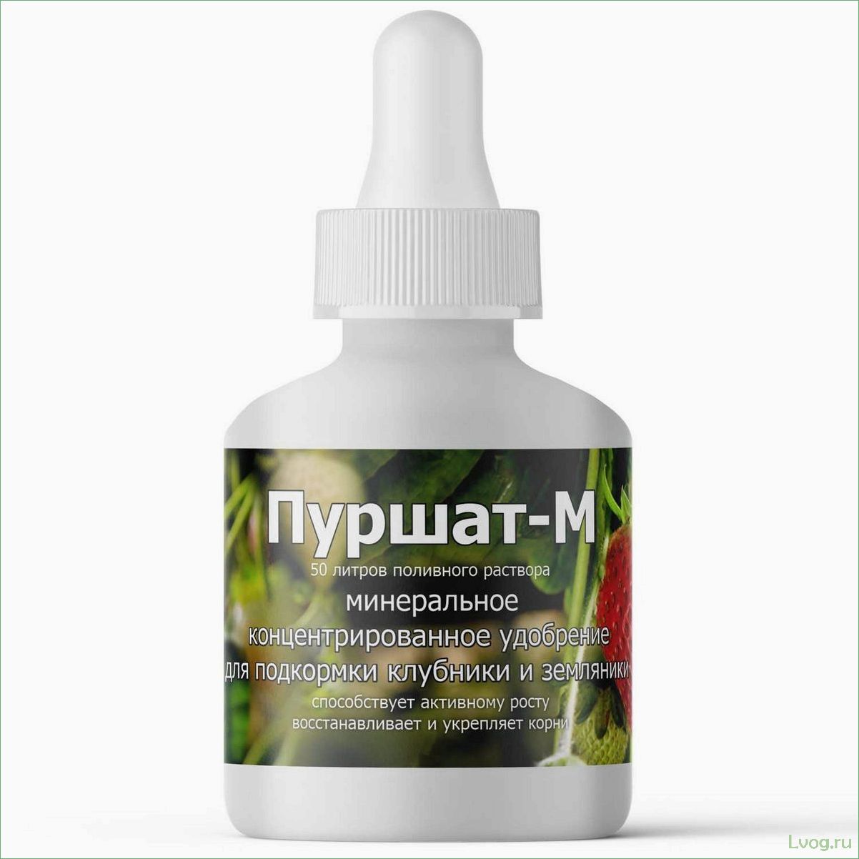 (удобрение, пуршат-м, концентрат, эффективное, решение) Удобрение Пуршат-М концентрат: эффективное решение для клубники и земляники