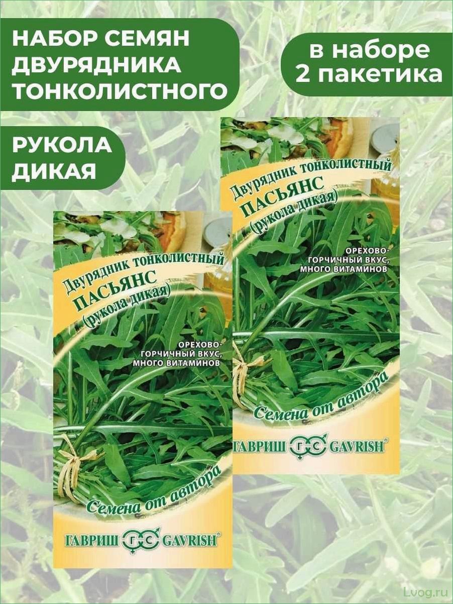 Двурядник тонколистный (Рукола дикая) Рокет: сортовые особенности, выращивание и использование