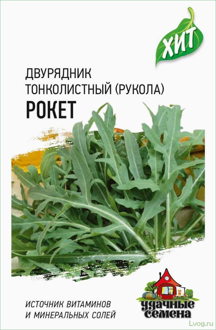 (двурядник, тонколистный, рукола, дикая, рокет) Двурядник тонколистный (Рукола дикая) Рокет: описание, выращивание, полезные свойства