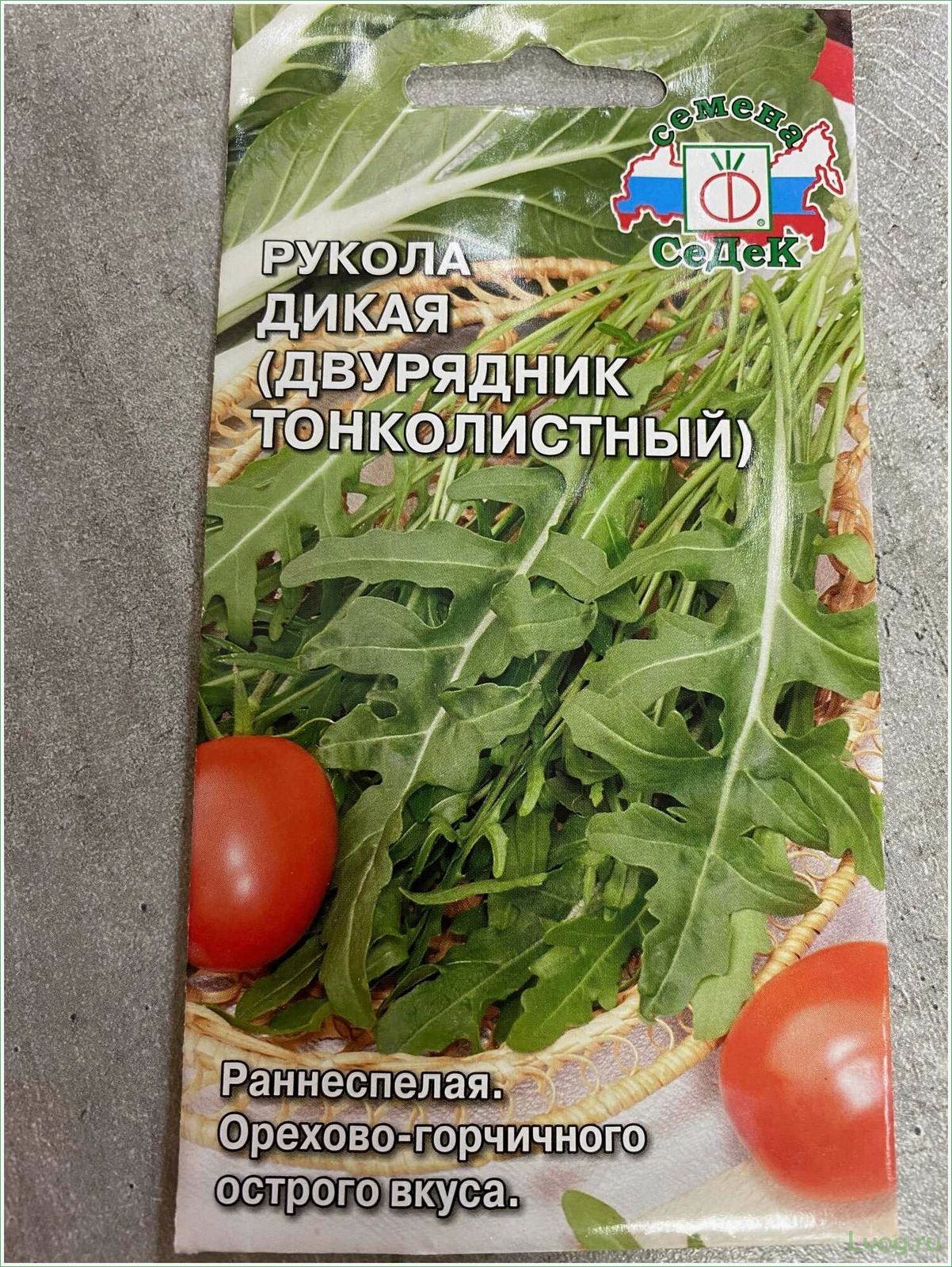(двурядник, тонколистный, рукола, дикая, рокет) Двурядник тонколистный (Рукола дикая) Рокет: описание, выращивание, полезные свойства
